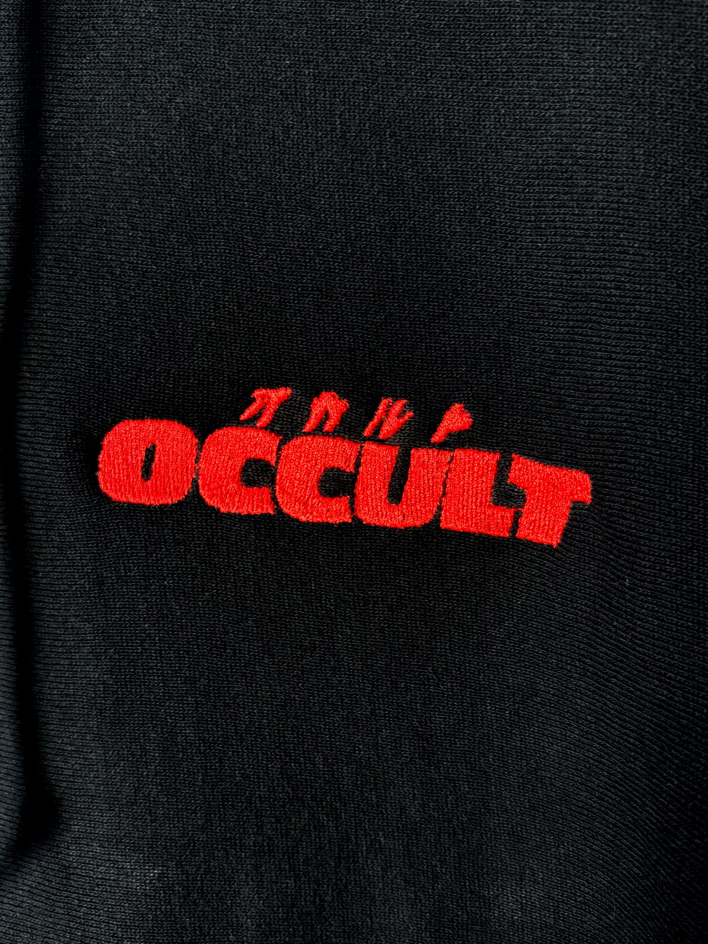 【1st Anniversary Item + Christmas card from moë】“OCCULT” hoodie with red embroidery